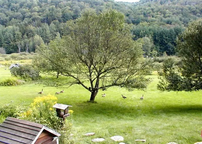 Mountain Valley Retreat