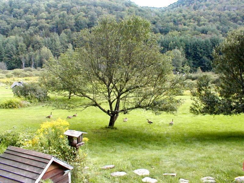 Mountain Valley Retreat
