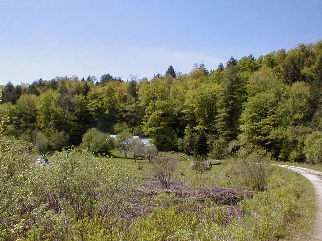 Mountain Valley Retreat